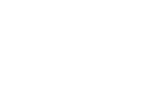 No Bears