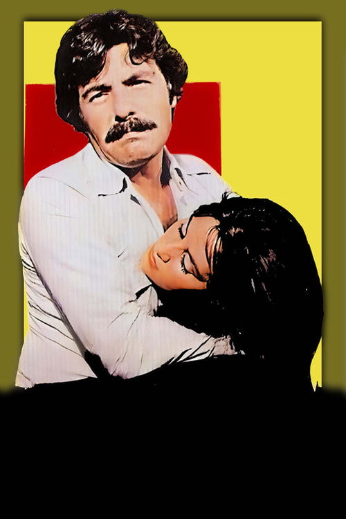 Affiche de Huzurum Kalmadı