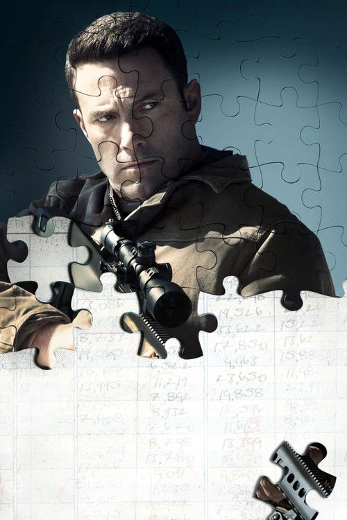 Pòster de The Accountant Collection