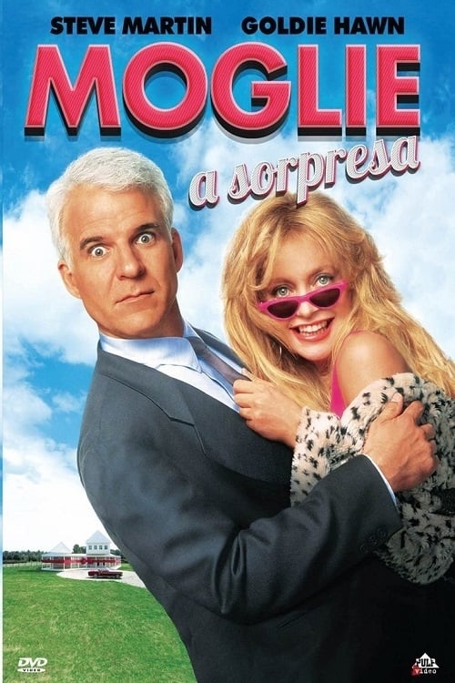 Housesitter poster