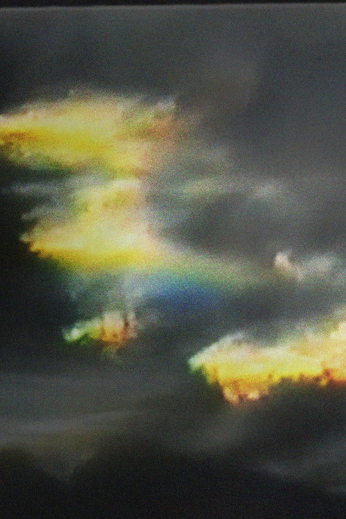 The Text of Light poster