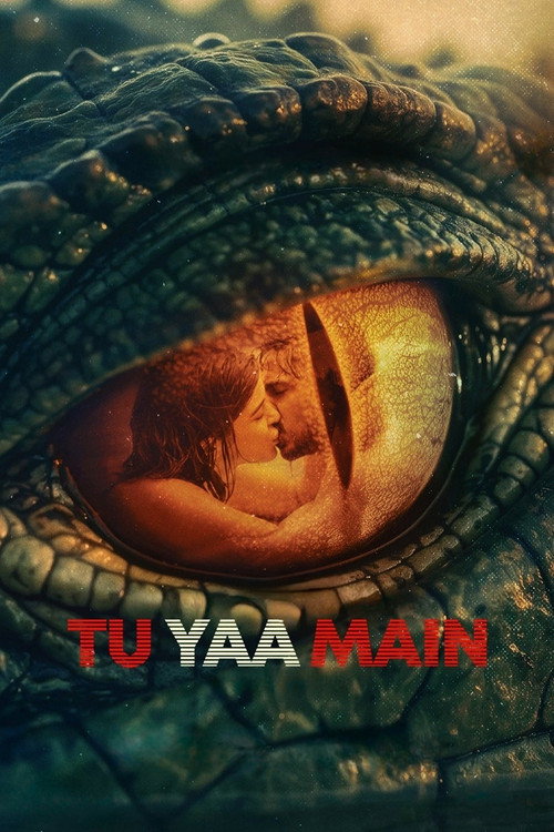Tu Yaa Main poster
