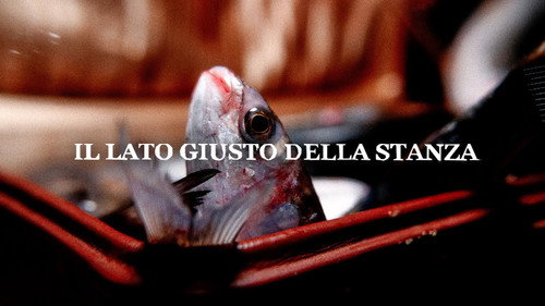 il Lato Giusto della Stanza Backdrop Blur