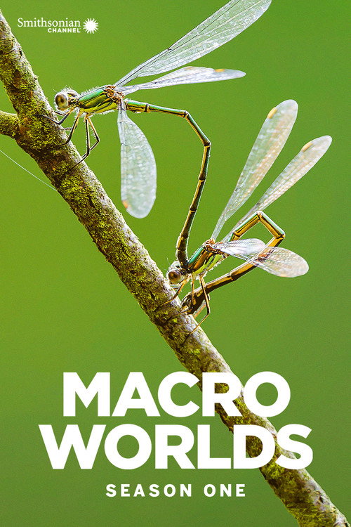 Season 1 (2017) - Season 1 poster and promotional image