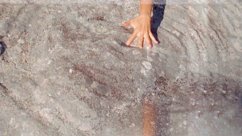 Metamorphosis' Chantings or That Time When I Incarnated as Porpoise