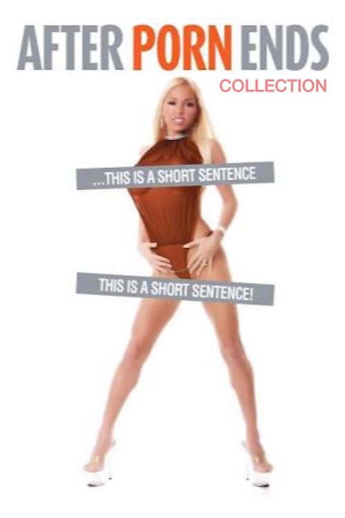 After Porn Ends Collection Poster