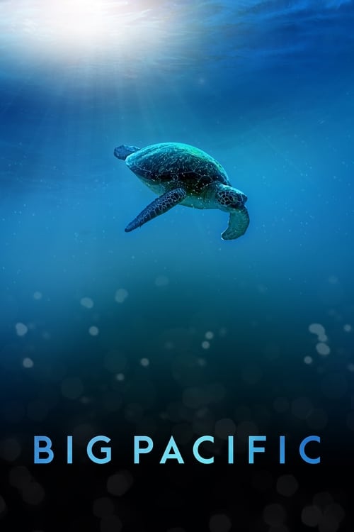 Poster Big Pacific