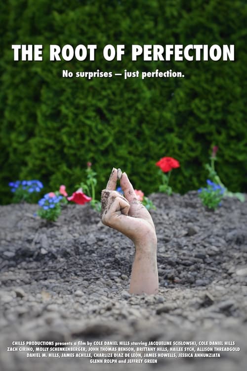 The Root of Perfection movie poster