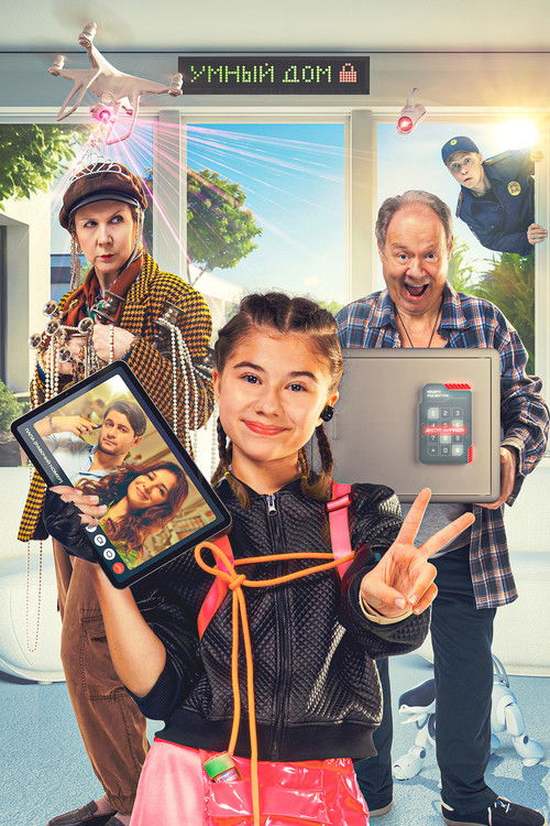 Not Home Alone poster