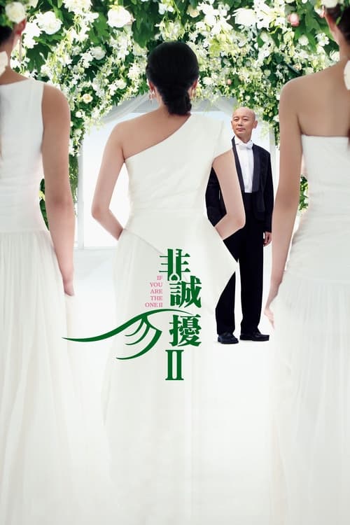 非诚勿扰2 (2010) poster