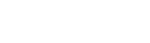 Querido primer ministro