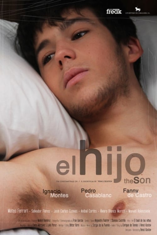 Poster El hijo 2012
