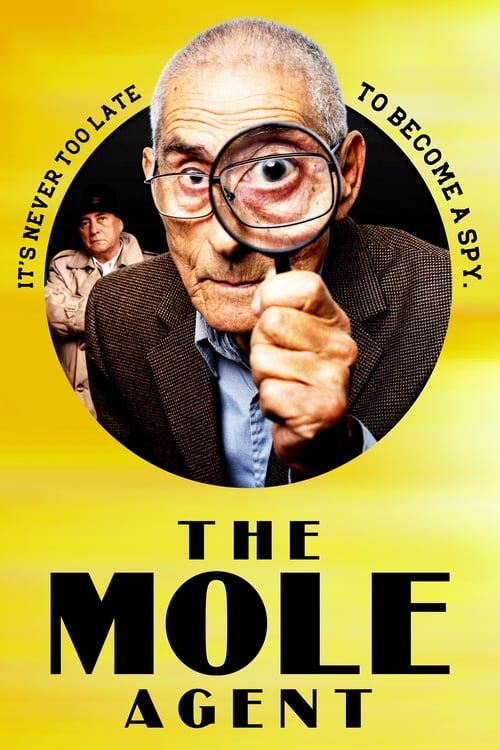 Largescale poster for The Mole Agent