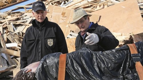 NCIS: Investigação Naval: 13×13