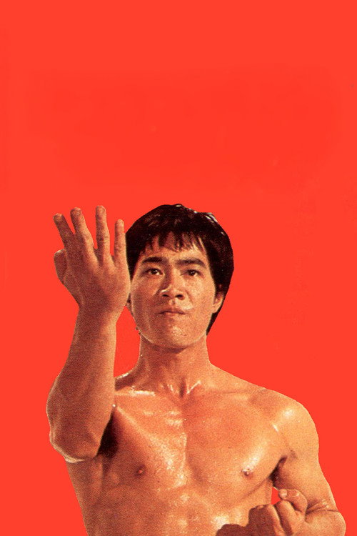 Bruce Lee Superdragon poster