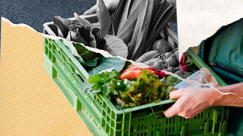 ALDI's Promise of Regionality