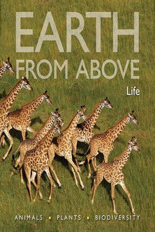 Earth From Above: Life poster