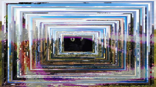 -Pursuit.Imo.Dolio.: Da Briciola a Pane Backdrop Blur