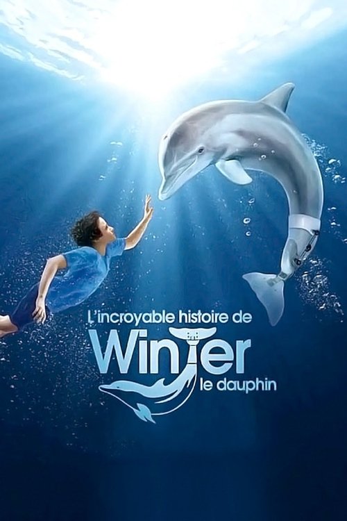 Poster image du film L'Incroyable Histoire de Winter le dauphin L'Incroyable Histoire de Winter le dauphin