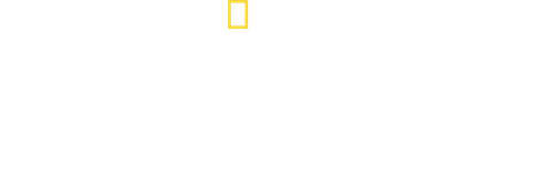 O Fantastico Mundo do Cao da Pradaria