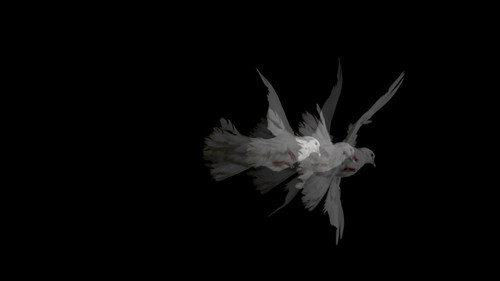 backdrop Doves (Loss of Love and Desensitization of Grief)
