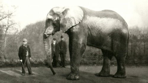 Image de l'épisode 27