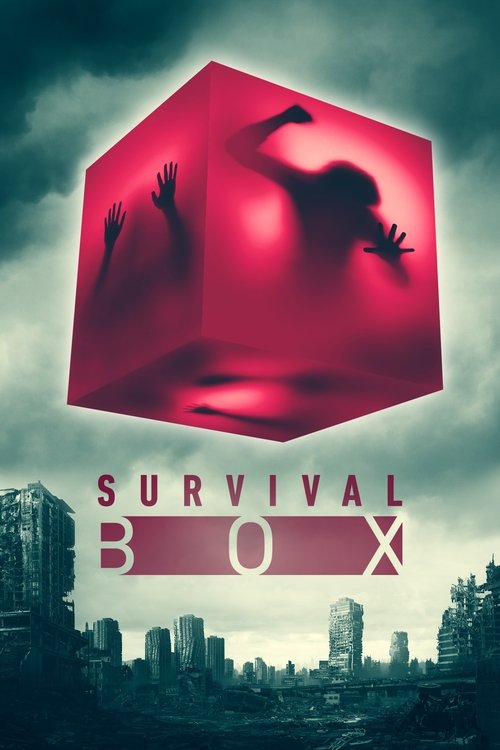 Largescale poster for Survival Box