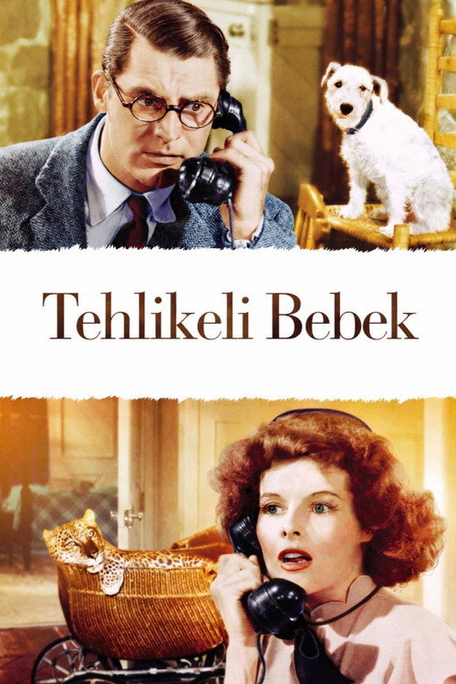 Tehlikeli Bebek