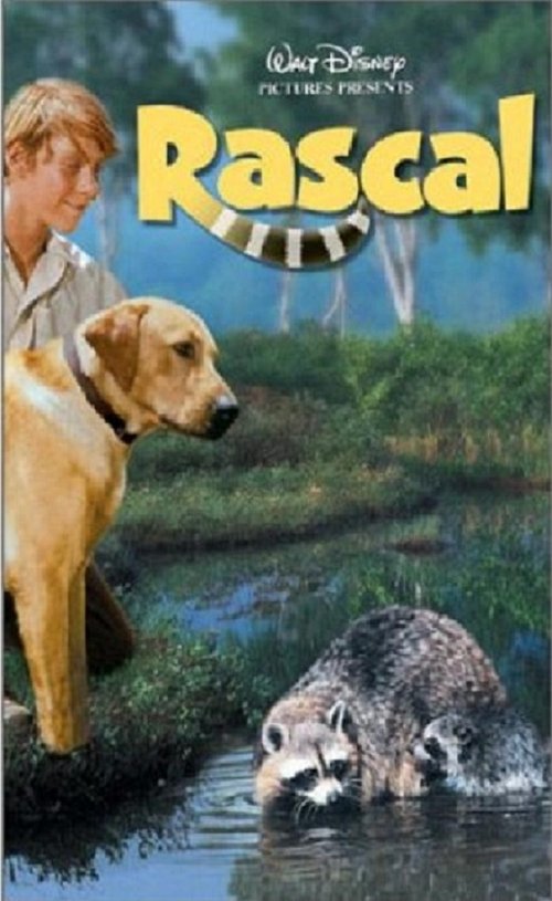 Ver Rascal Online