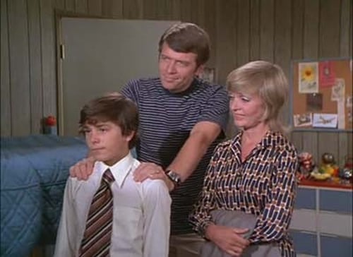 Poster della serie The Brady Bunch