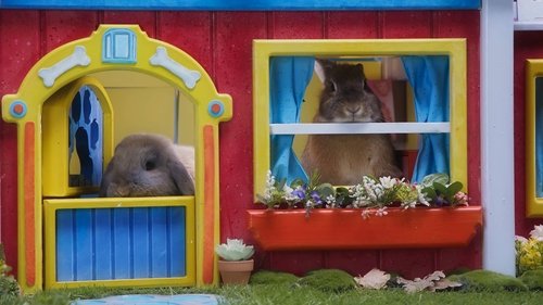 Image de l'épisode 9