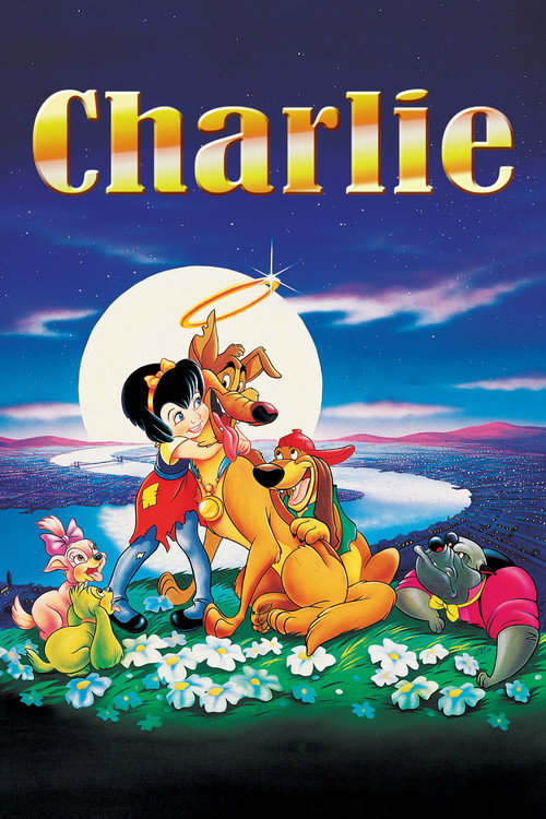 Affiche de Charlie, mon héros