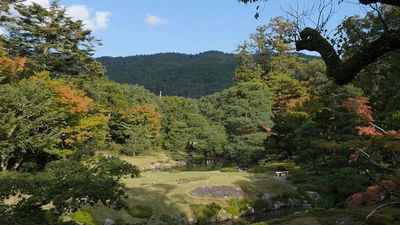 Image de l'épisode 20