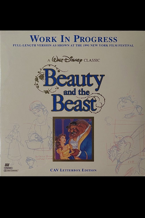 Beauty and the Beast Work In Progress
