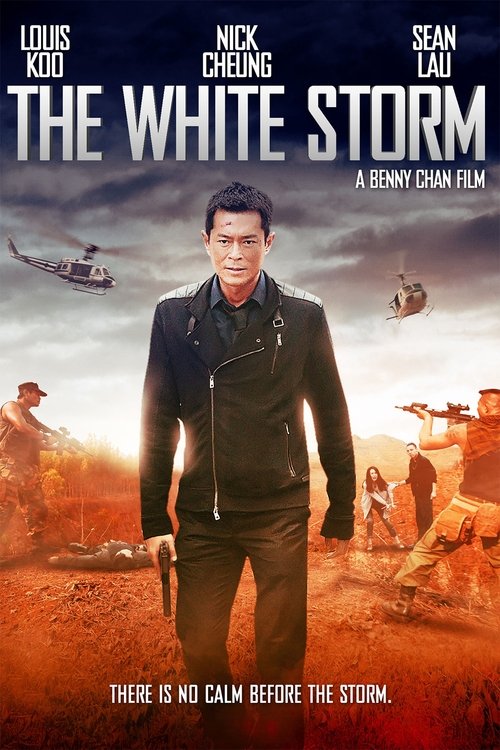 Grootschalige poster van The White Storm