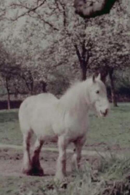 East of the Malverns (1957)