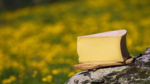 Fromages de montagne, au sommet du gout ? image 2