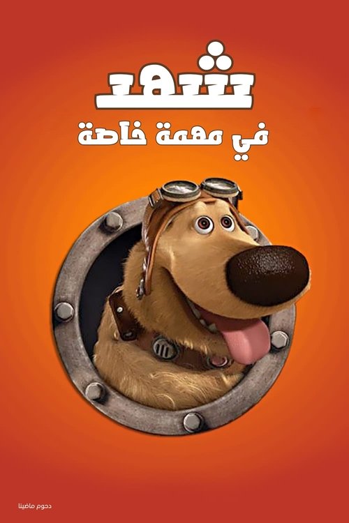 Poster for شهد في مهمة خاصة