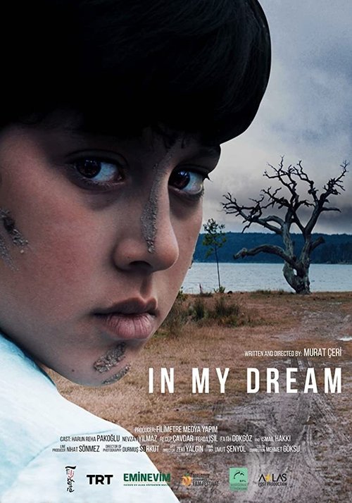 Watch In My Dream Online Vudu