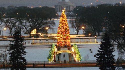 The National Christmas Tree, A Century of Celebration The National Christmas Tree, A Century of Celebration