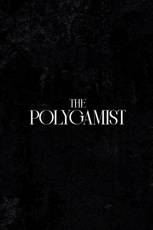The Polygamist - Season 1 Poster Blur