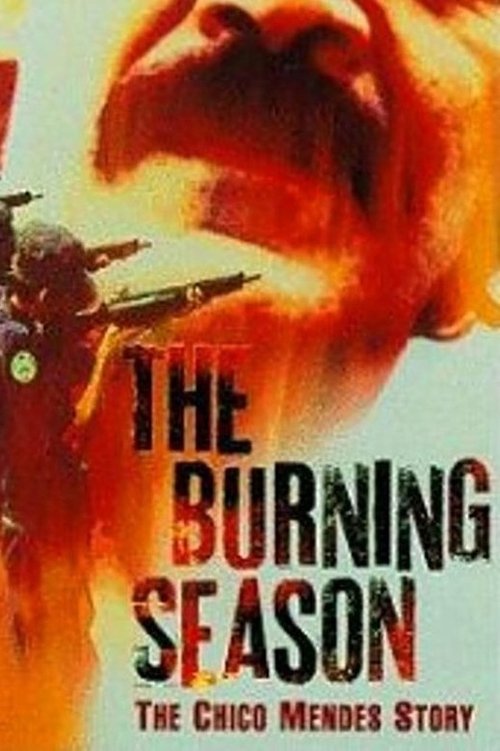 The Burning Season movie poster player