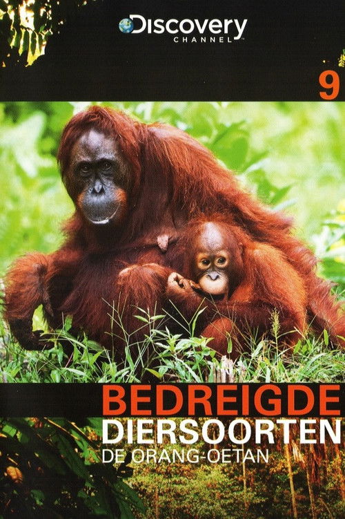 Bedreigde Diersoorten 09: De Orang-Oetan