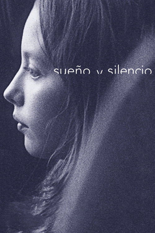 Dream and Silence poster