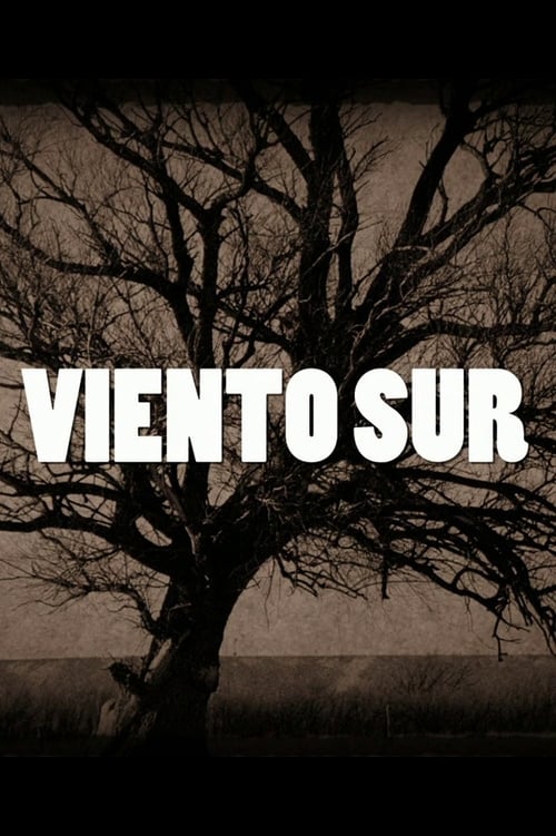 Poster Viento Sur