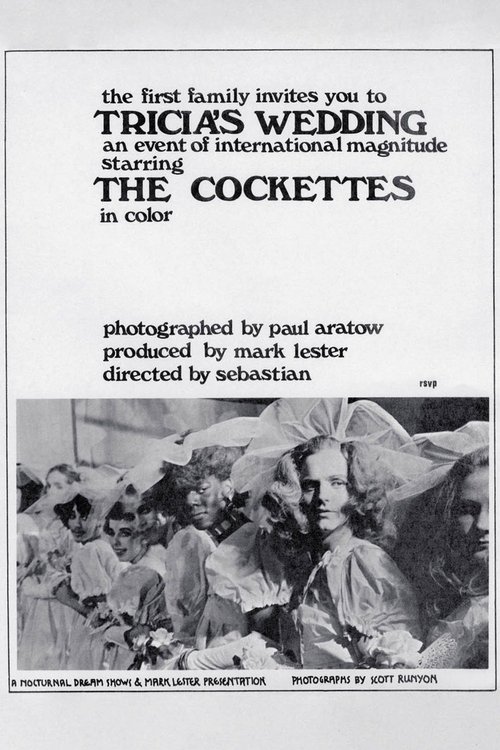 Tricia's Wedding poster