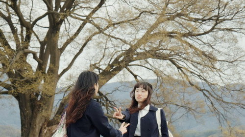 Peki ・ Peki ・ Peki Backdrop Blur