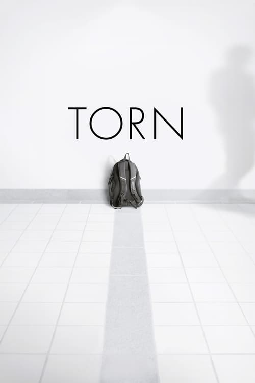 Poster do filme Torn