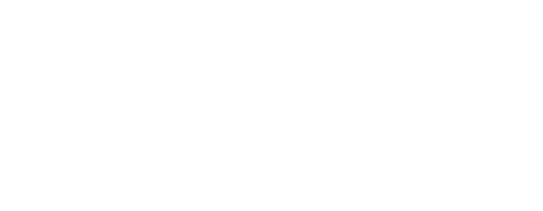 SDI: Departamento secreto de intervencion