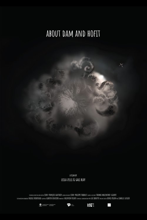 About Dam and Hofit (2022) poster